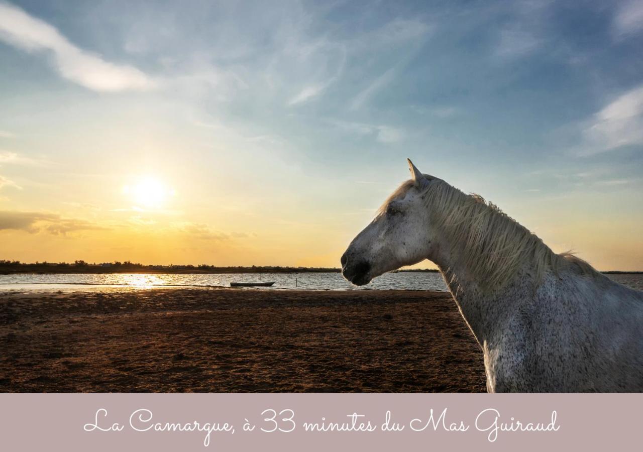Guiraud Beaucaire (Gard)